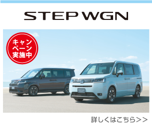 STEP WGN