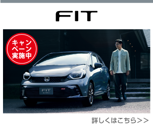 FIT