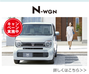 N-WGN