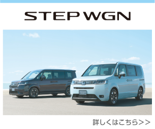 STEP WGN