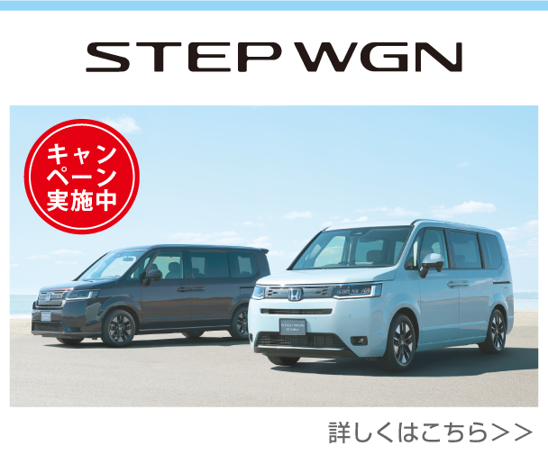 STEP WGN