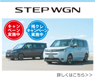 STEP WGN