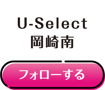 U-Select 岡崎南