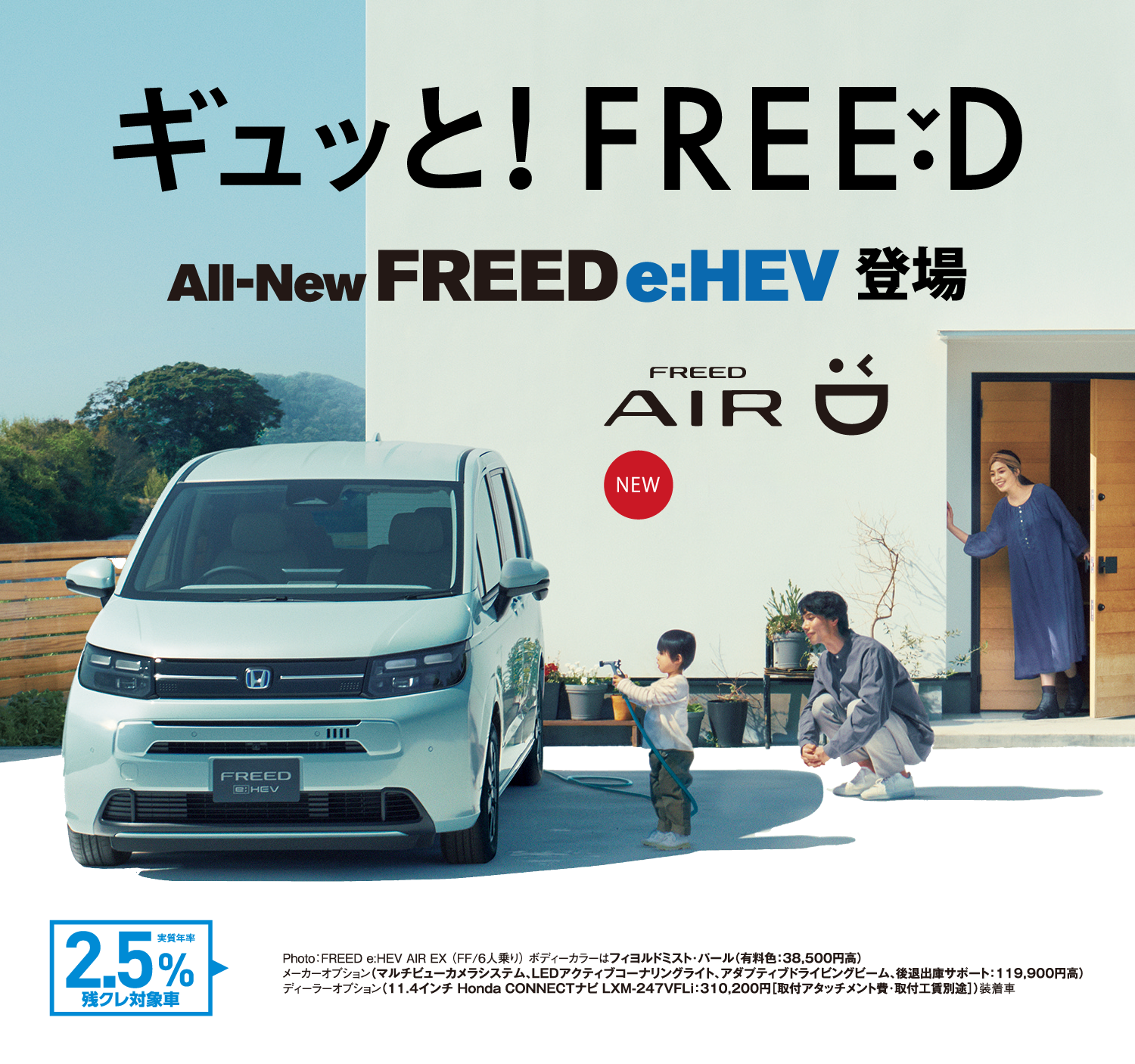 ギュッとFREED