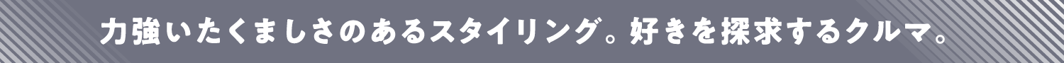 力強いたくましさのあるスタイリング